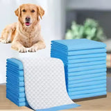 PETSWOL Super Absorbent Pet Training Pads Puppy Toilet for Indoor