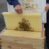 Wooden Beekeeping Beehive Housebox with Auto-Flowing Honey Frames_9