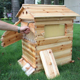 Wooden Beekeeping Beehive Housebox with Auto-Flowing Honey Frames_8